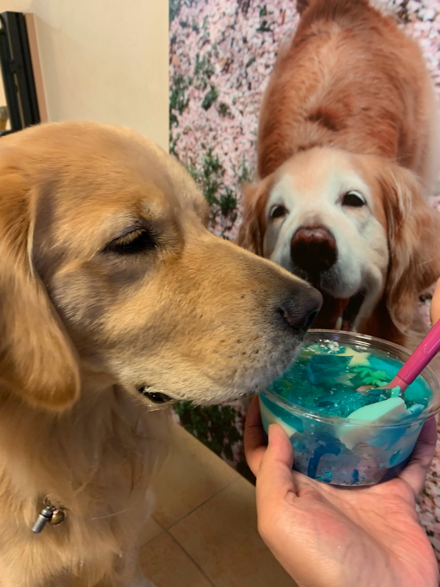 ファイル 7685-2.jpg