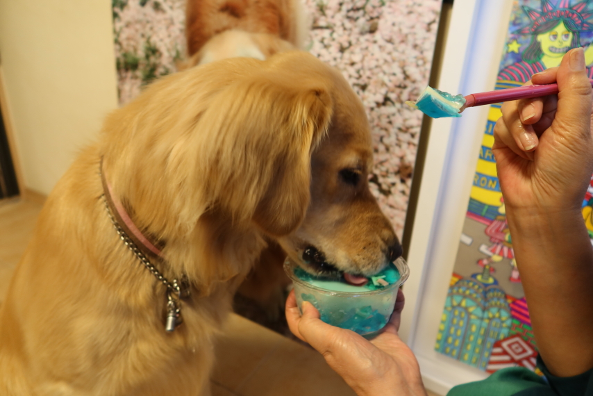 ファイル 7685-3.jpg