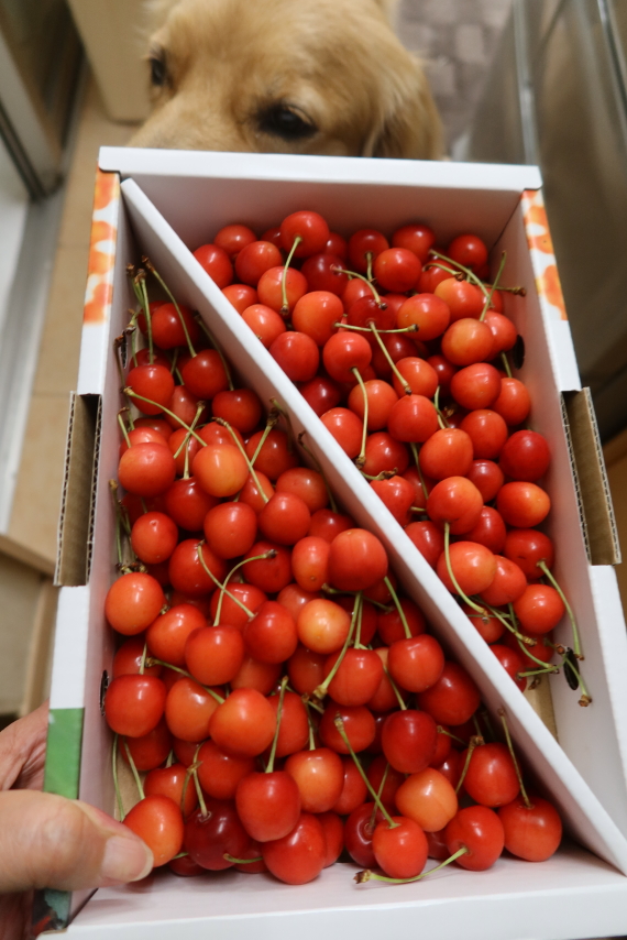 ファイル 7685-5.jpg