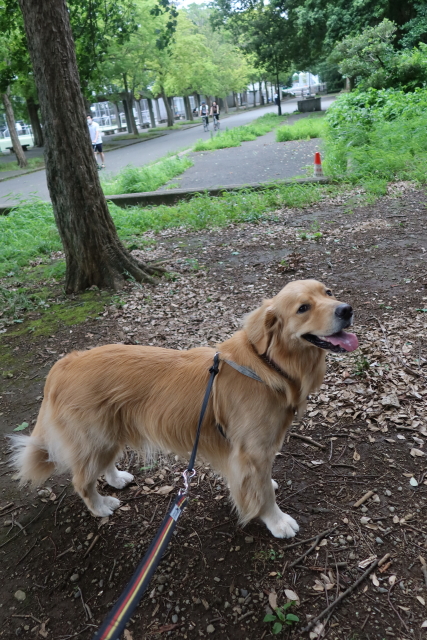 ファイル 7686-4.jpg