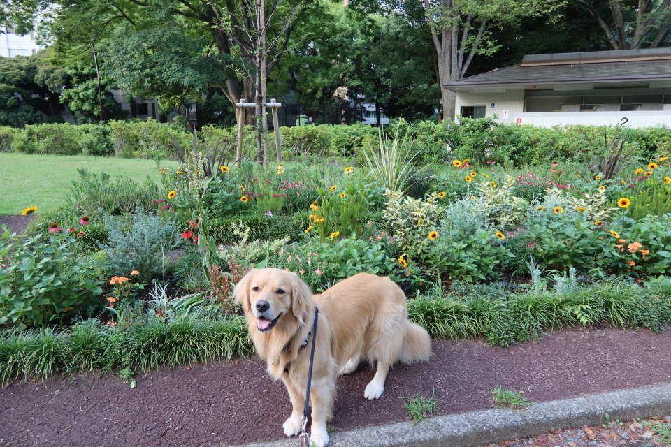 ファイル 7687-4.jpg