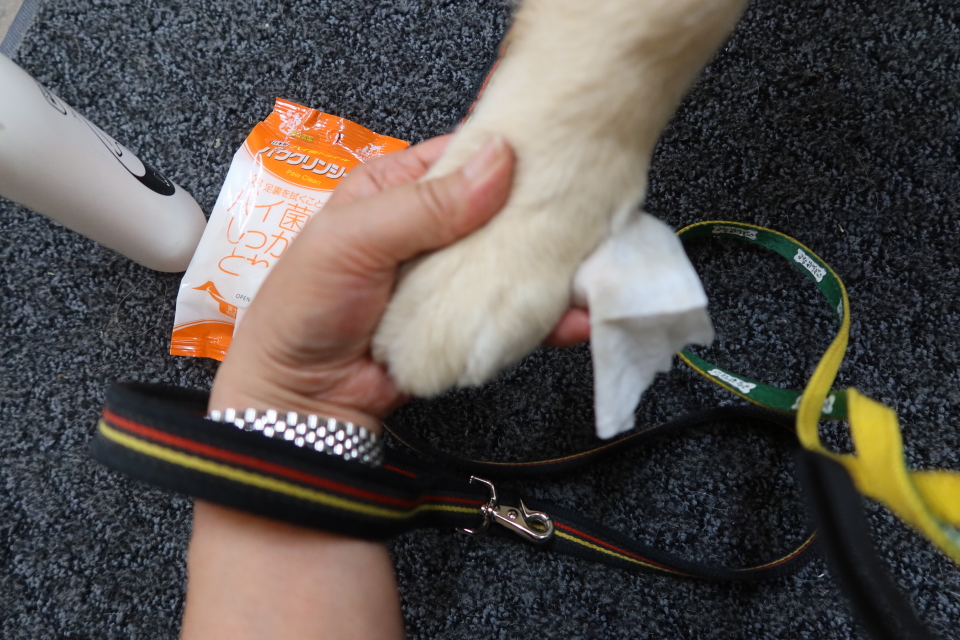 ファイル 7688-4.jpg