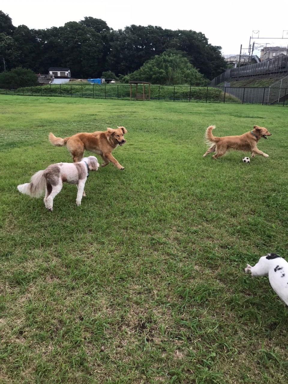 ファイル 7689-2.jpg