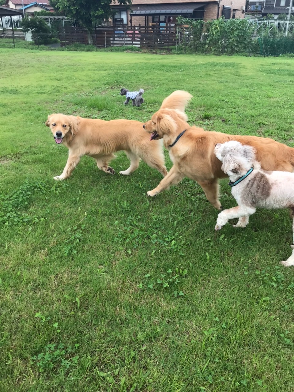 ファイル 7689-3.jpg