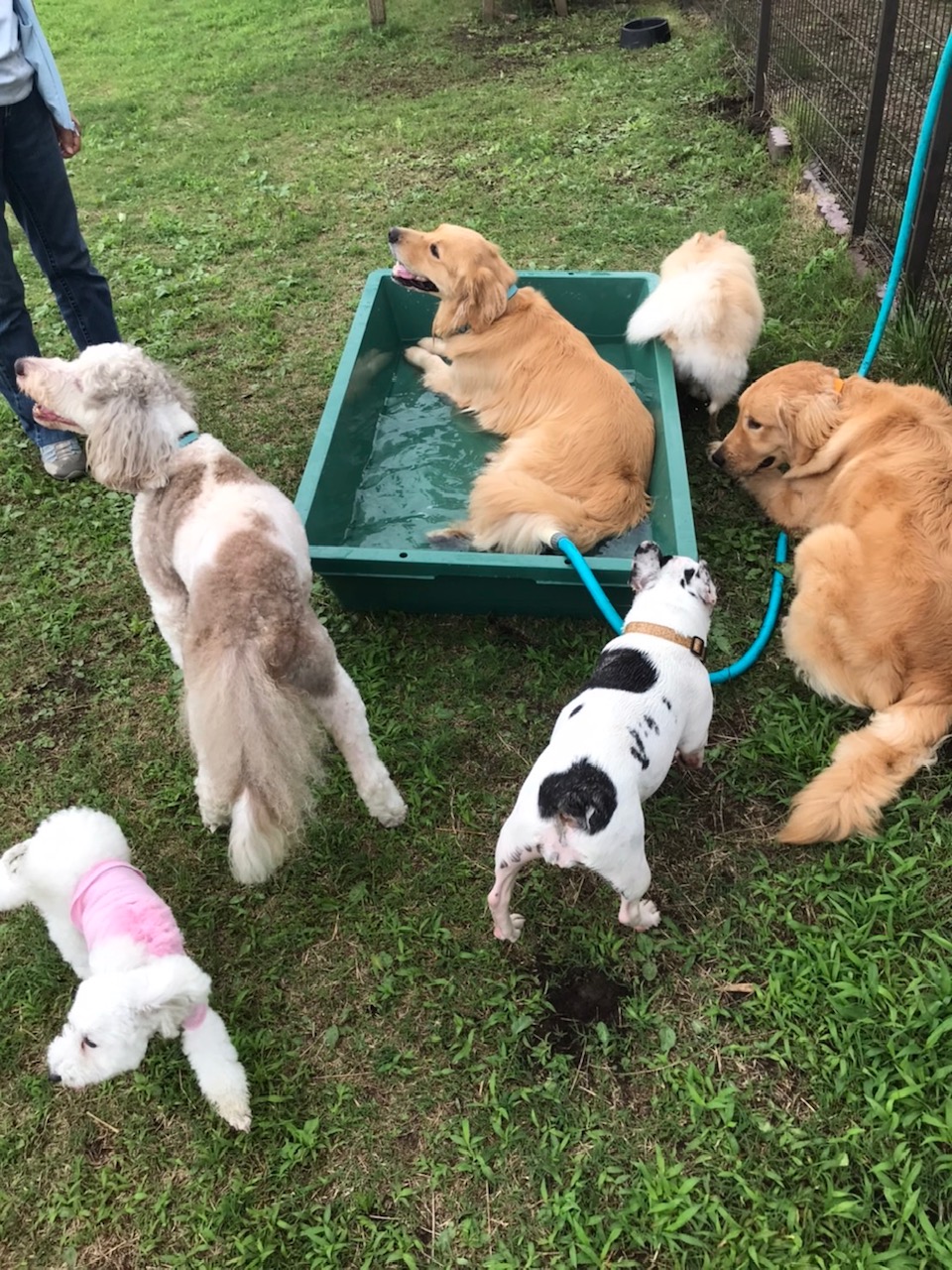 ファイル 7689-4.jpg