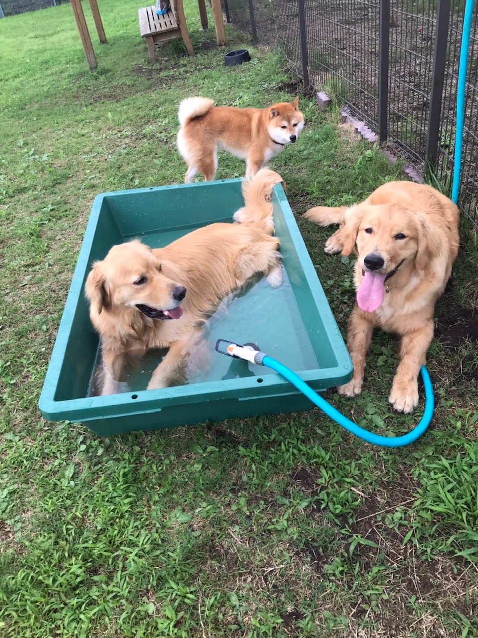 ファイル 7689-5.jpg