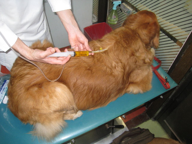 ファイル 769-1.jpg