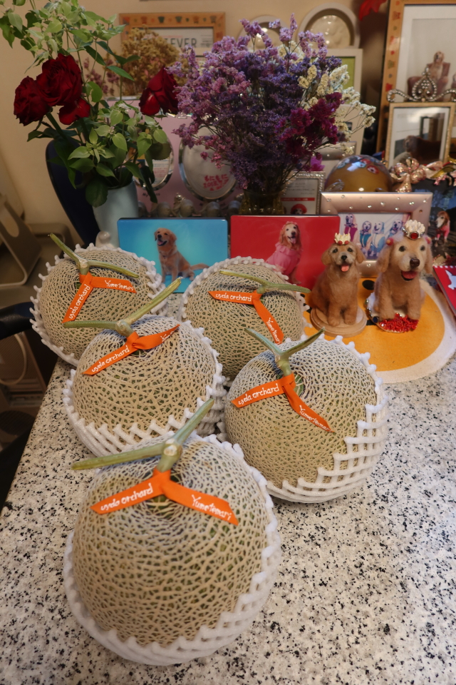 ファイル 7690-5.jpg