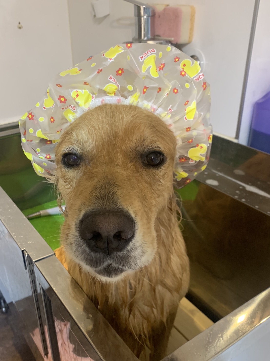 ファイル 7693-4.jpg