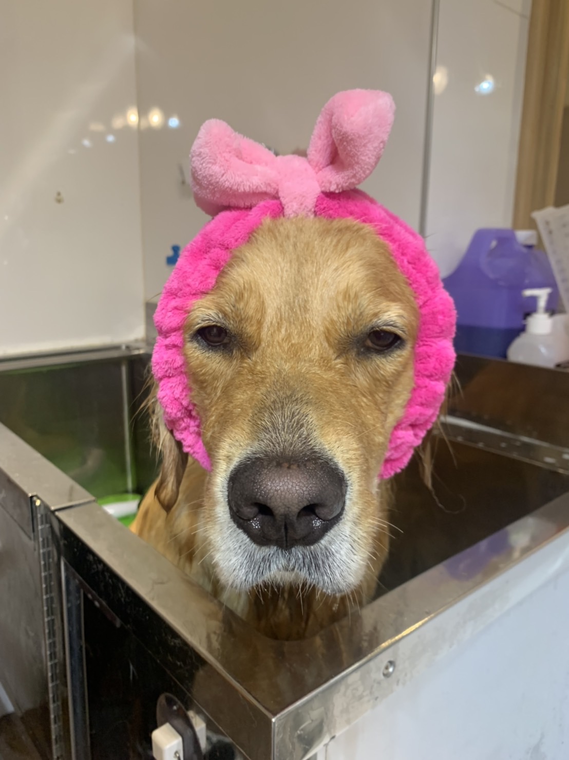 ファイル 7693-5.jpg