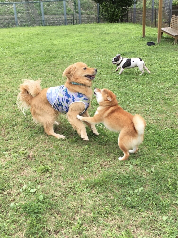 ファイル 7697-2.jpg