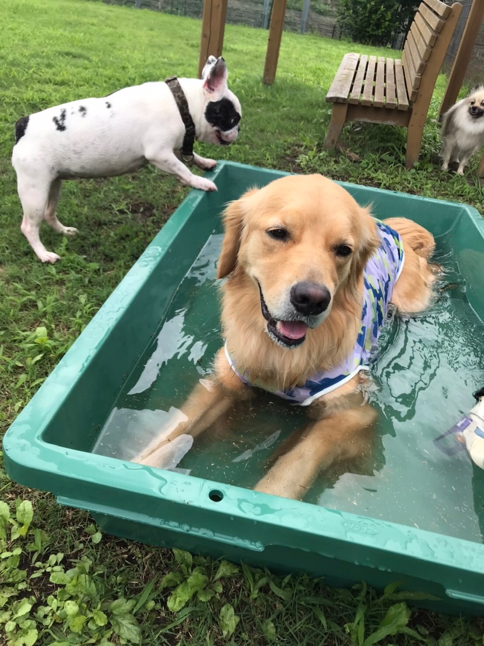 ファイル 7697-3.jpg