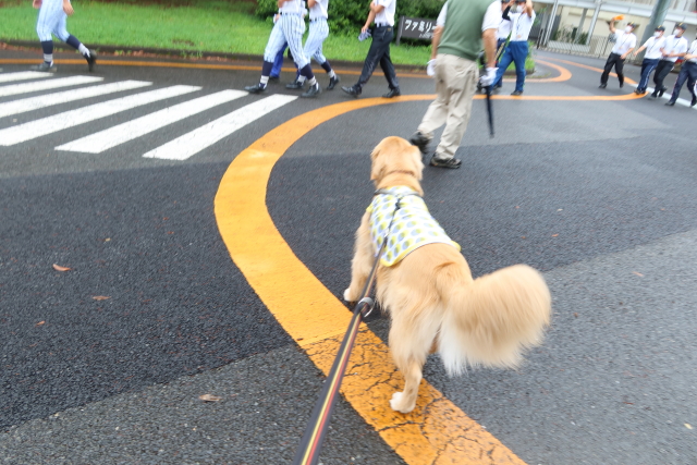 ファイル 7698-2.jpg