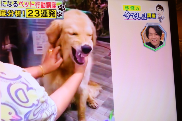 ファイル 7699-2.jpg