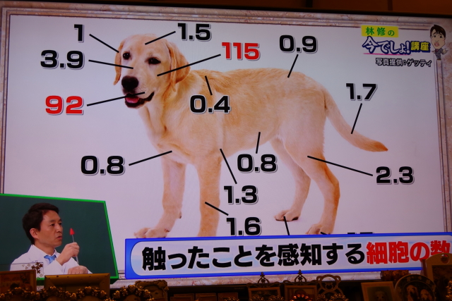 ファイル 7699-3.jpg