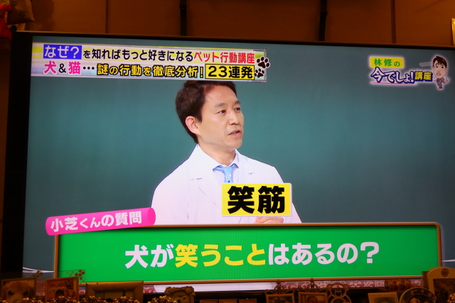 ファイル 7699-4.jpg