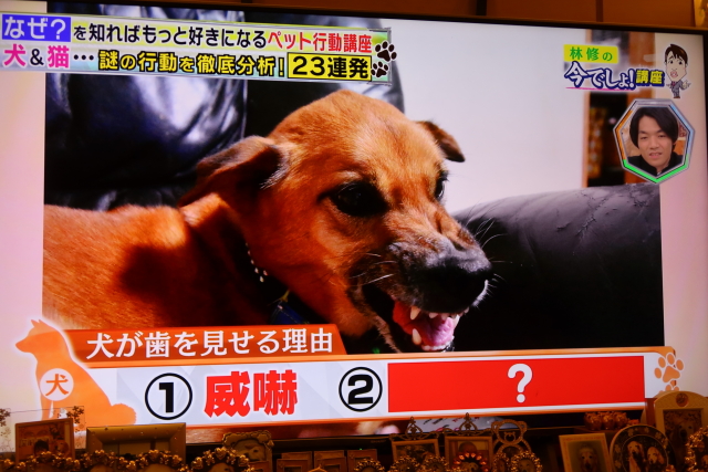 ファイル 7699-5.jpg