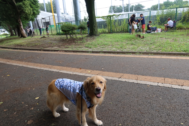 ファイル 7700-3.jpg