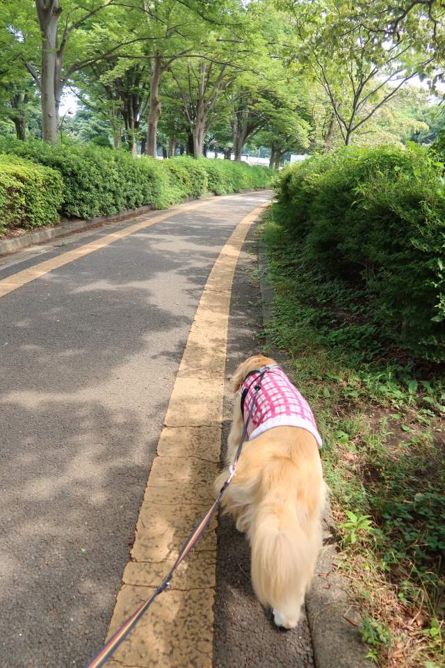 ファイル 7702-1.jpg