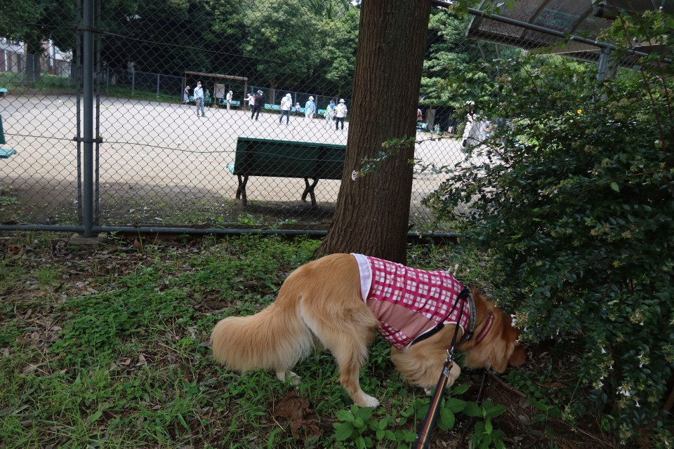 ファイル 7702-2.jpg