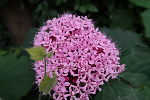 ファイル 7702-4.jpg