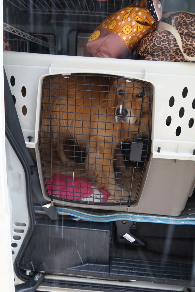 ファイル 7703-2.jpg