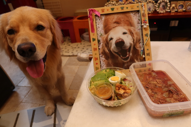 ファイル 7703-3.jpg