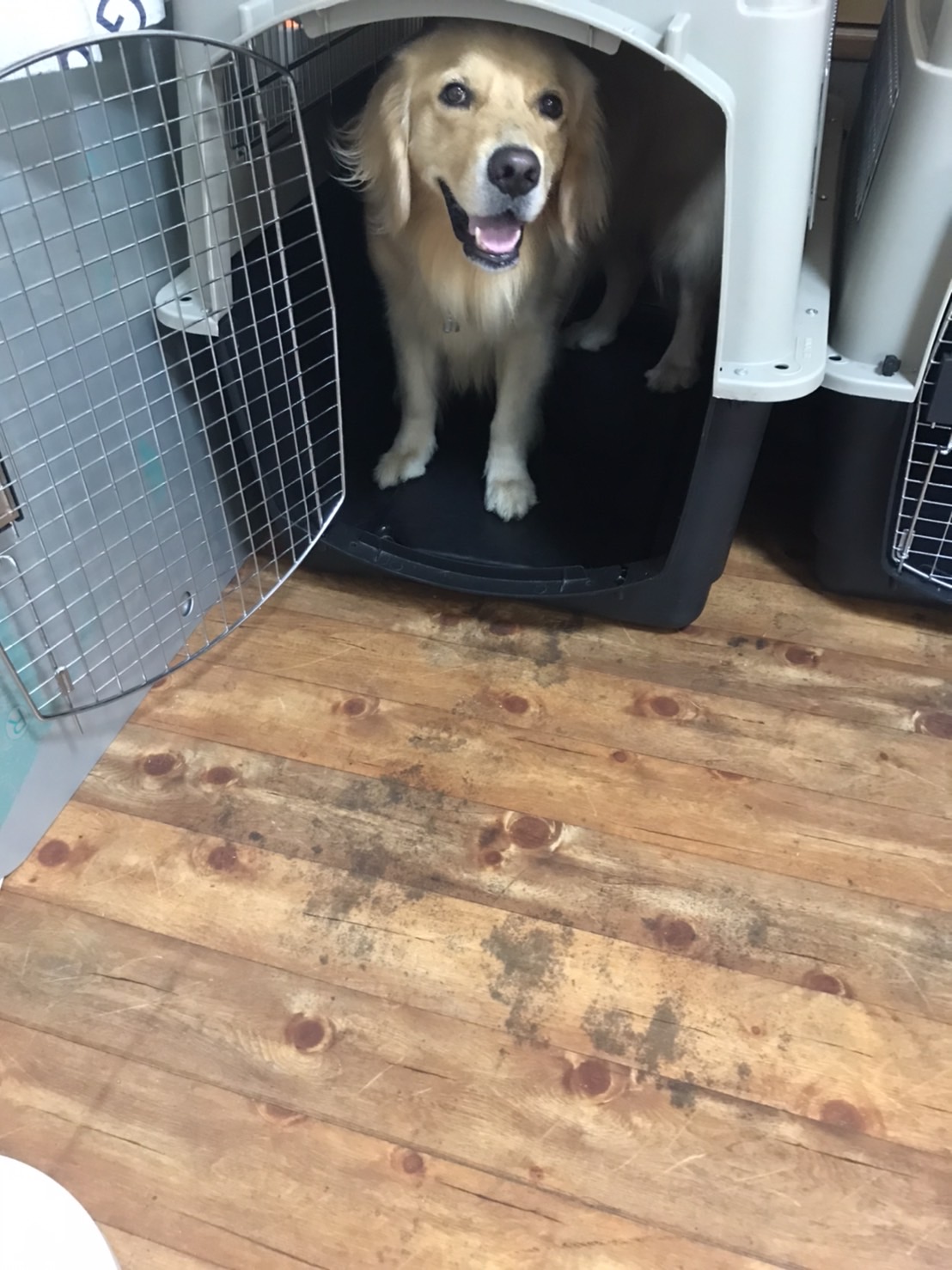 ファイル 7704-5.jpg