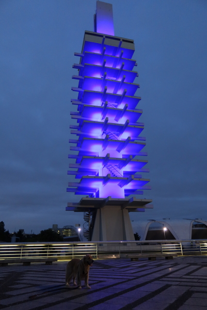 ファイル 7705-1.jpg