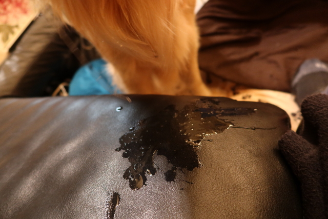 ファイル 7705-4.jpg