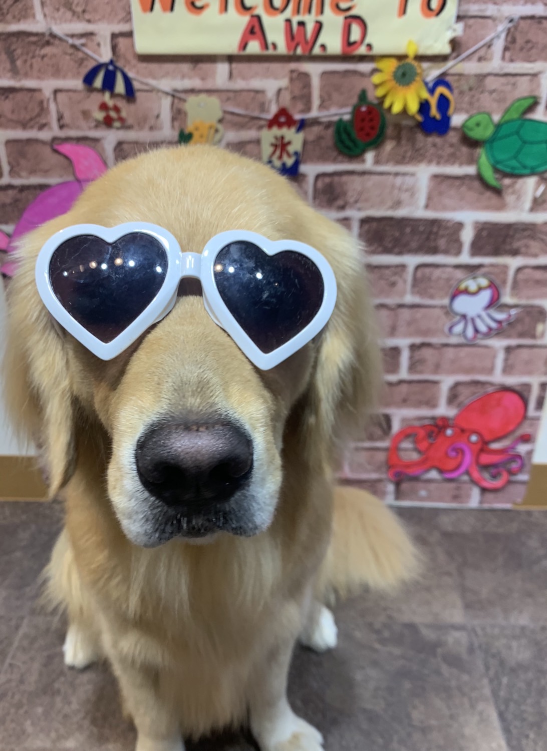 ファイル 7706-1.jpg