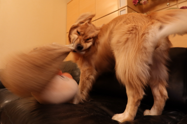 ファイル 7706-4.jpg