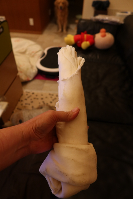 ファイル 7707-1.jpg