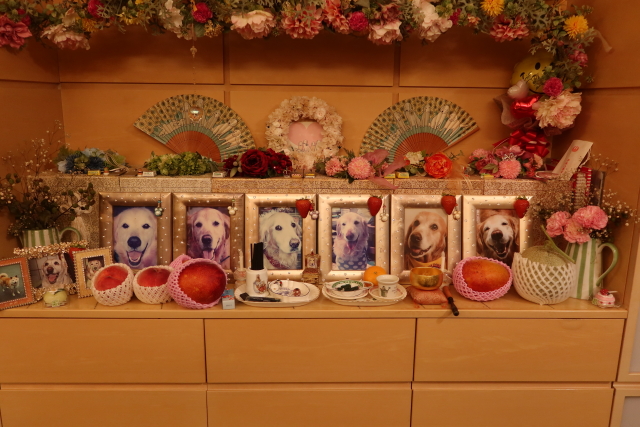 ファイル 7707-4.jpg