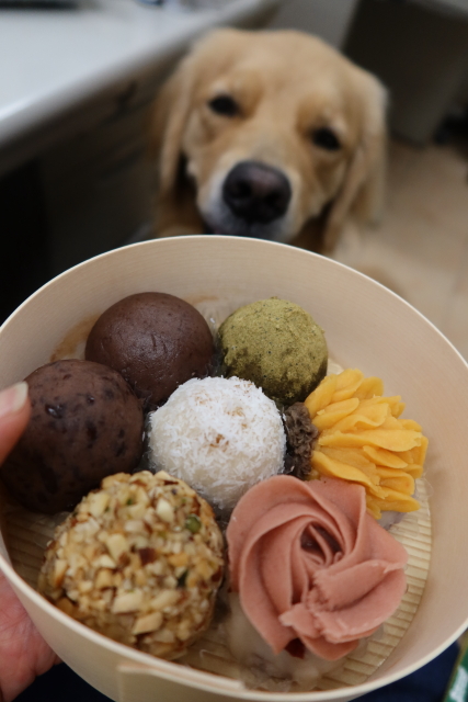 ファイル 7707-5.jpg