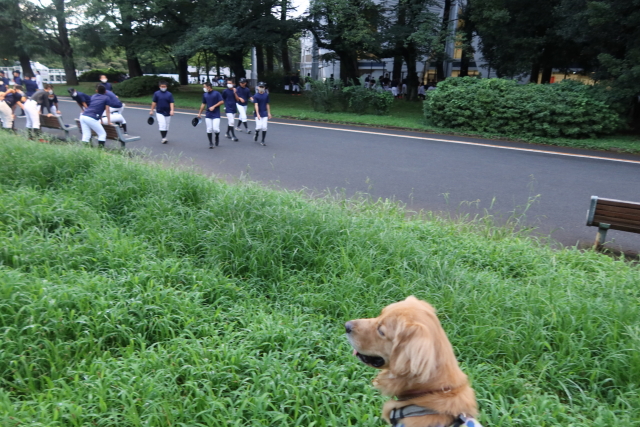 ファイル 7708-2.jpg