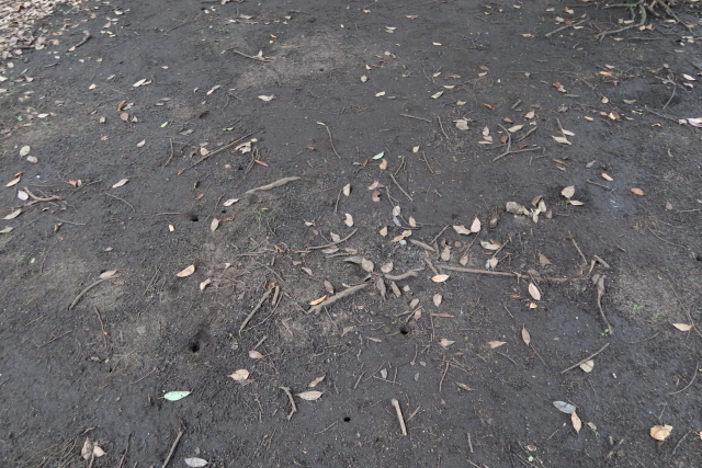 ファイル 7708-4.jpg