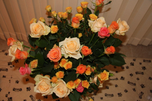 ファイル 771-1.jpg