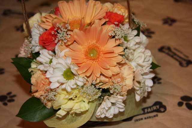 ファイル 771-3.jpg