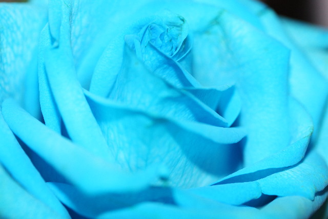 ファイル 771-5.jpg