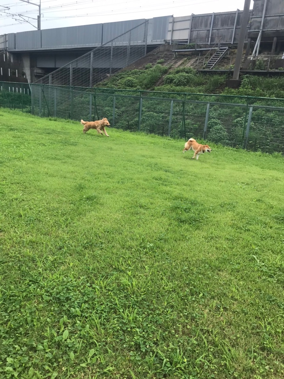 ファイル 7710-1.jpg