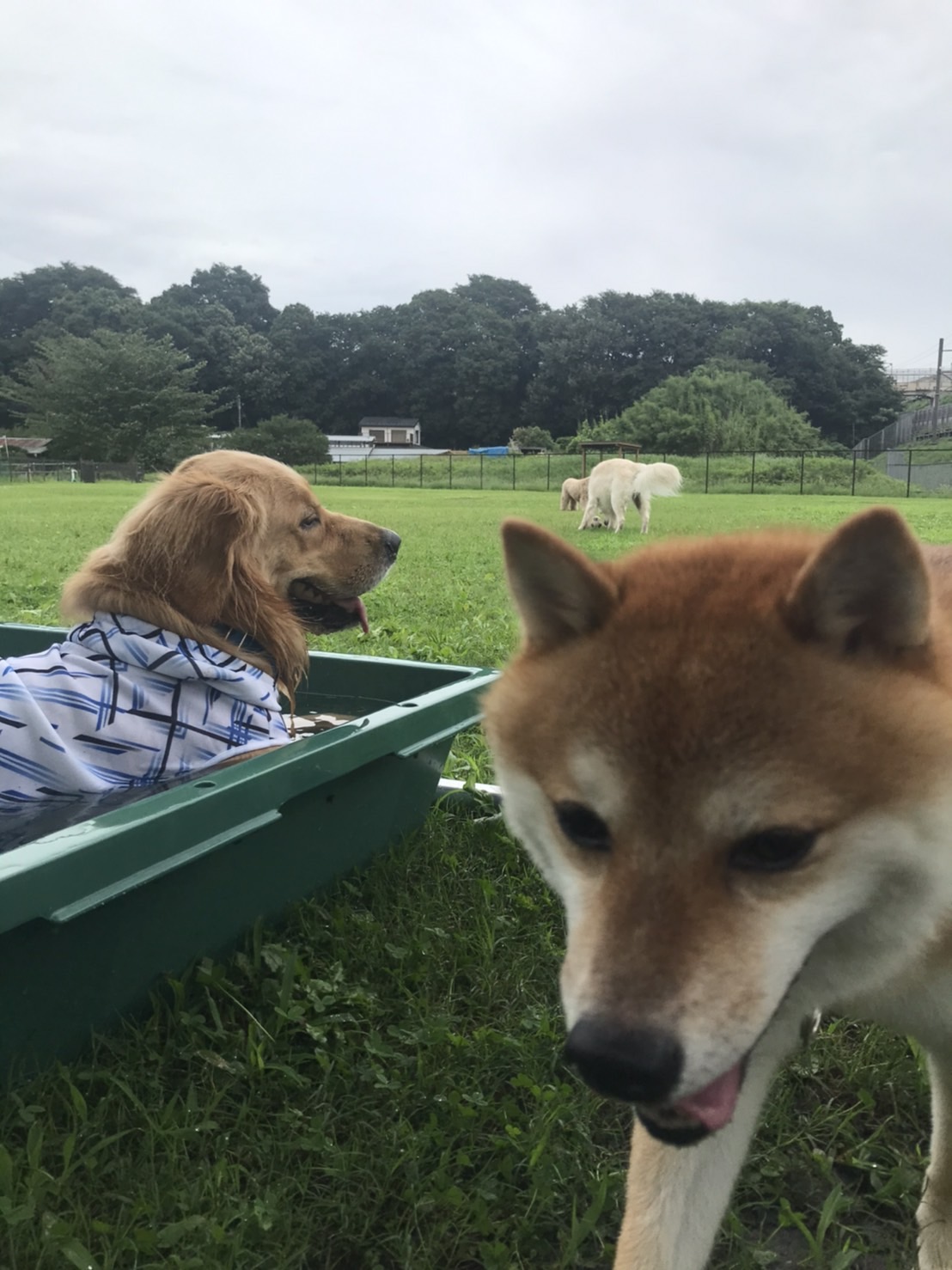 ファイル 7710-3.jpg