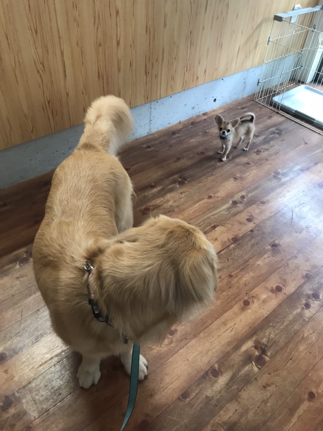 ファイル 7710-5.jpg