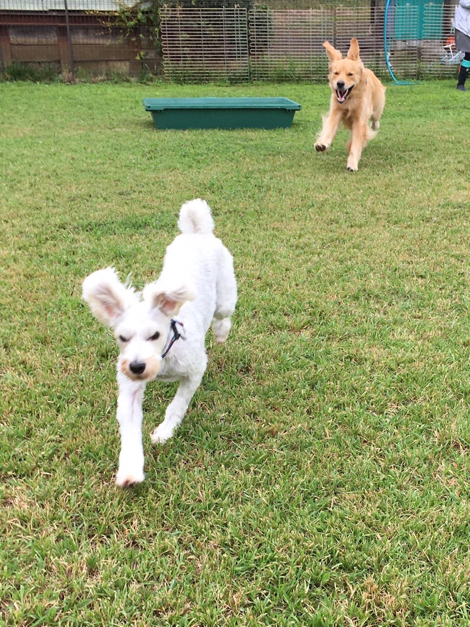 ファイル 7712-1.jpg