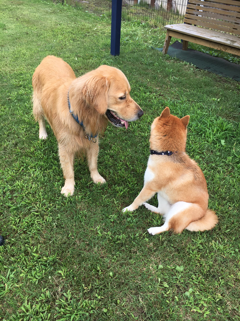 ファイル 7712-4.jpg