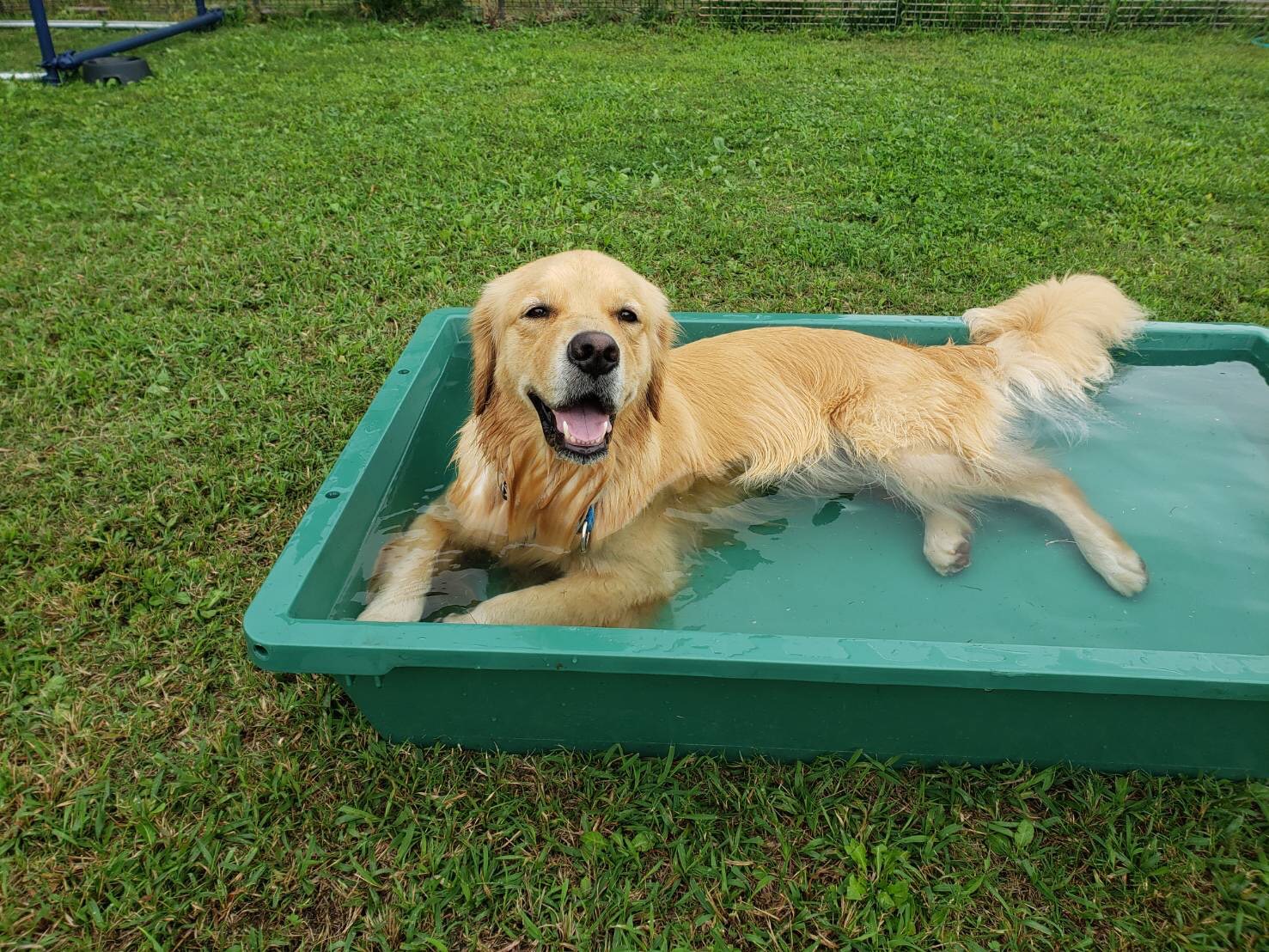 ファイル 7712-5.jpg