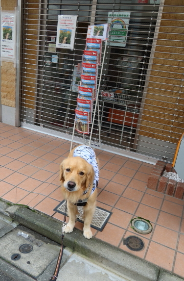 ファイル 7713-3.jpg