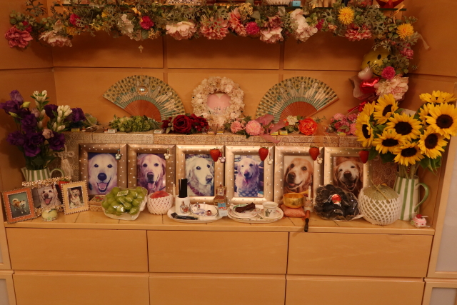 ファイル 7713-4.jpg