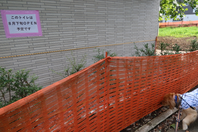 ファイル 7713-5.jpg