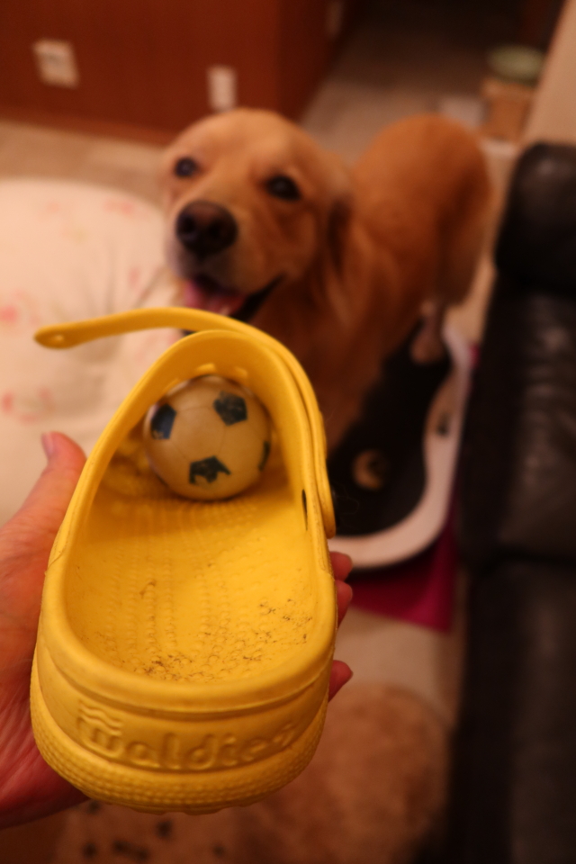 ファイル 7714-4.jpg